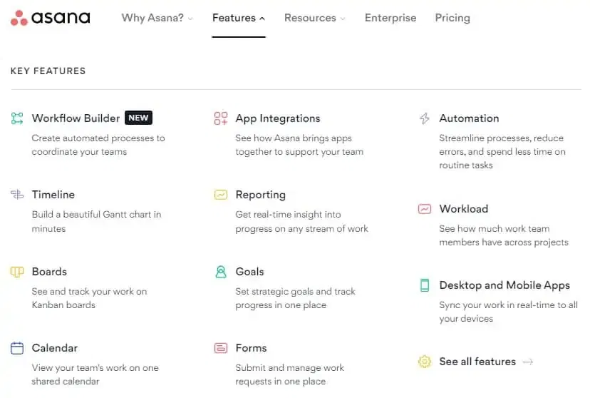 Asana Features