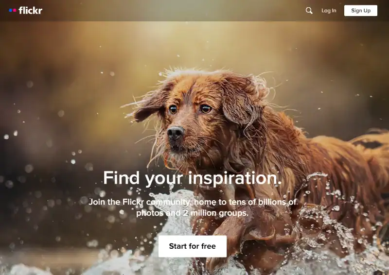 Flickr homepage