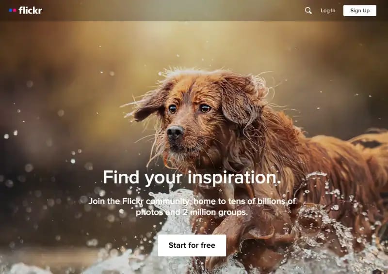 Flickr homepage
